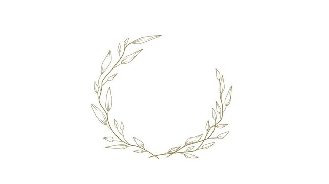 video plant in frame for wedding intro