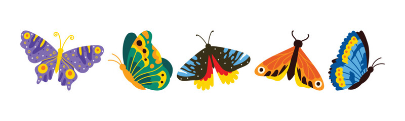 Colorful butterfly variety in vibrant cartoon illustration style