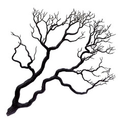 Intricate Black and White Abstract Tree Branches