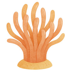 Vibrant orange sea anemone with long flowing tentacles and sandy base