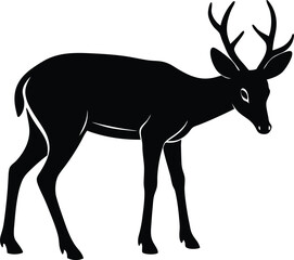 Silhouette of Grazing Deer with Head Down