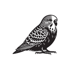 Budgerigar Vector (3).eps