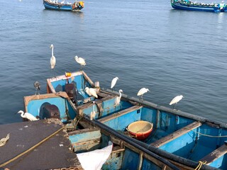 Obraz premium fishing boats in the harbor