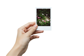hand holding photo frame, A hand holds a polaroid picture of flowers isolated on transparent background