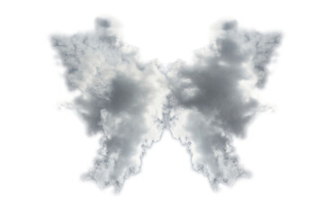 isolated Butterfly clouds shape in the sky.