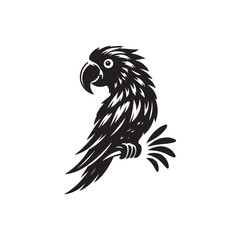 Parrot Vector (3).eps