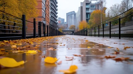 Autumn Canal Walkway