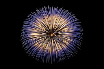 Circular Fireworks Display Against Black Background