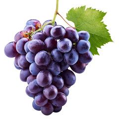 Fototapeta premium Uvas 