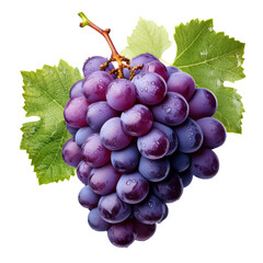 Fototapeta premium Uvas 