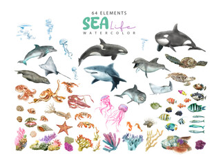 sea life elements watercolor collections