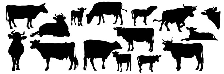 Cow silhouettes in diverse positions, ideal for farm, dairy, beef advertisements and educational graphics. Black cows figures on white background, versatile for various contexts