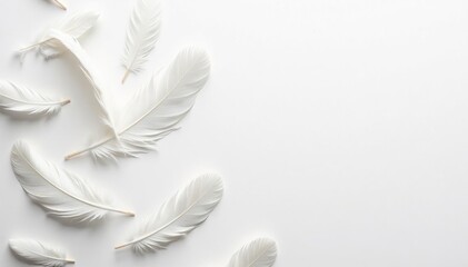 Obraz premium Crisp white feathers scattered on bright white surface, plume, wildlife