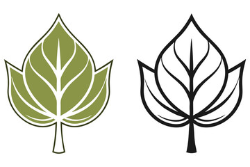 Simple poplar leaf showcases its distinctive shape in both color and line art