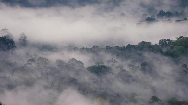 Timelapse The mist moves over the mountain.