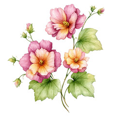 Obraz premium Watercolor painting of beautiful pink flowers with green leaves on white background