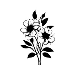 Floral illustration in black and white, delicate floral pattern isolated on white background