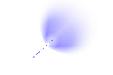 Romantic Wedding Photo Light Leak Overlay PNG