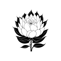 Elegant lotus flower line art design in monochrome showcasing stylized petals