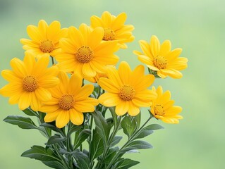 Naklejka premium Bright yellow flowers bouquet