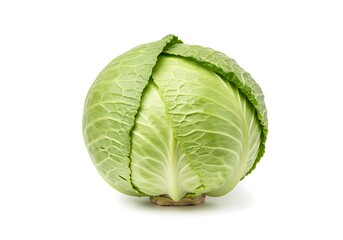 Fresh Green Cabbage Vegetable Healthy Food Ingredient Organic Nature Leaf Diet Farm White Salad