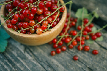 Fresh red currants in a wooden bowl on rustic wooden table. Natural summer harvest scene with vibrant red berries and green blurred background, perfect for healthy eating or gardening themes