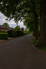 road in the park