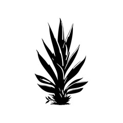 Monochrome botanical illustration showcasing a stylized, spiky plant form