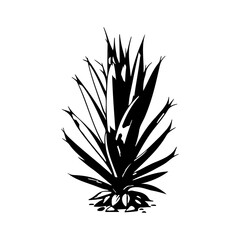 Monochrome agave illustration on a plain background, capturing minimal details