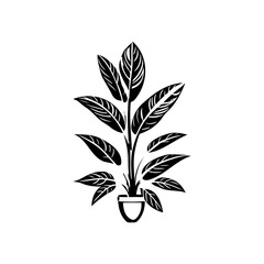 Elegant monochrome botanical illustration of a plant in a simple pot design