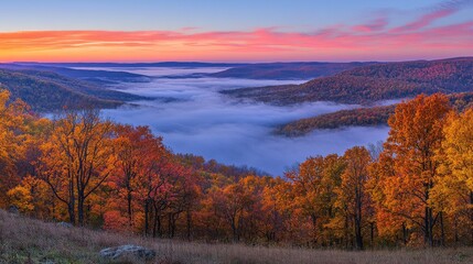 Fototapeta premium Autumnal vista of a valley shrouded in morning mist.