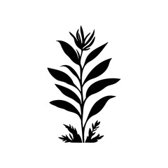 Botanical simplicity: A contrasting silhouette of elongated leaves design element
