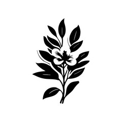 Botanical simplicity: Elegant floral sprig illustration in stark monochrome beauty