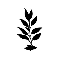 Elegant silhouette of a sprouting plant, conveying simplicity and new beginnings