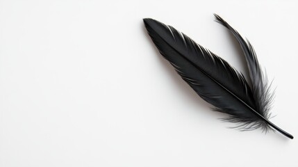 An artistic capture of two elegant black feathers resting on a clean white surface, symbolizing beauty, freedom, and simplicity in design and nature's artistry.