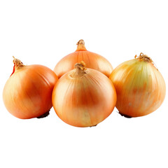 Fresh onions on a transparent background