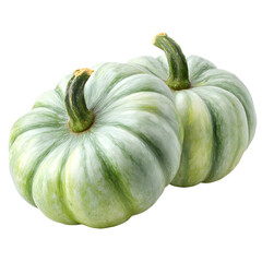 Two green and white striped fairytale pumpkins sit isolated on a white backdrop, ready for autumn decorations and seasonal culinary creations this fall season.