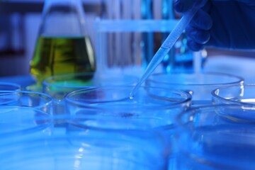 Scientist taking sample with pipette out of Petri dish at table in laboratory, closeup