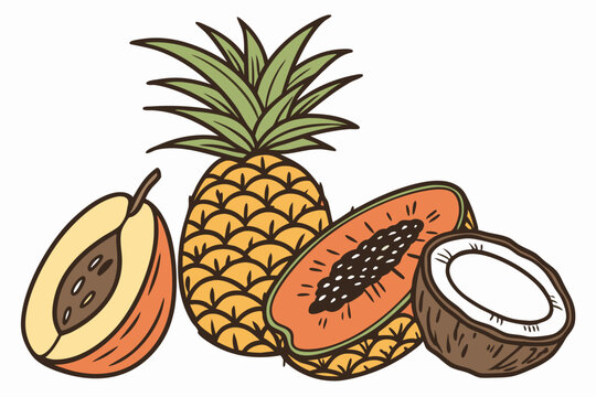 tropical fruits: pineapple, papaya, coconut, peach clip art preview