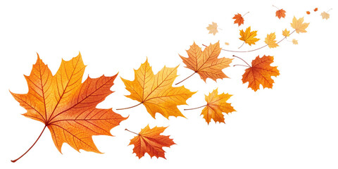 Fototapeta premium Autumn Maple Leaves Composition Falling Leaves Design, Isolated on Transparent Background, Fall foliage, illustration, Autumn, Leaves, Fall