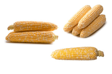 Yellow corn isolated on white background. Copyspace.