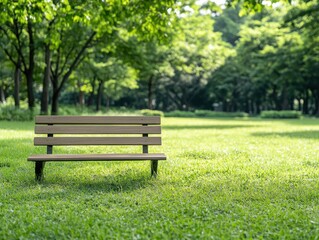 Wooden park bench in grassy area