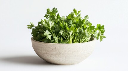 Fototapeta premium Fresh parsley leaves arranged in a simple bowl create a clean and inviting scene. Bright daylight enhances the vibrant green color, emphasizing a sense of freshness and simplicity.