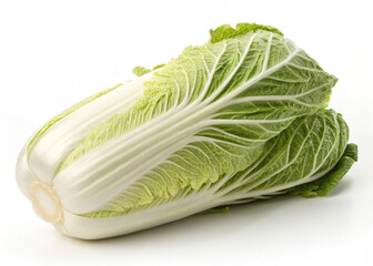 napa cabbage isolated on white background