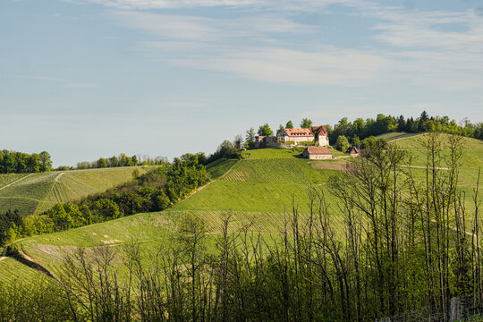 Blick auf Schloss Staufenberg  im Kreis Ortenau, Baden-W&uuml;rtemberg