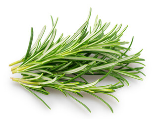 Green fresh rosemary leaves isolated on white background. File contains clipping path.