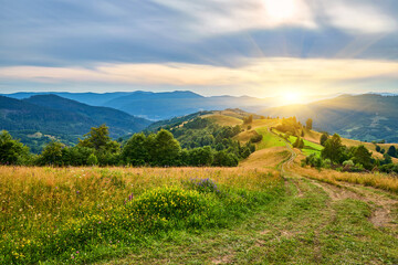 Fototapeta premium Mountain Ridge Path Birch Tree Landscape