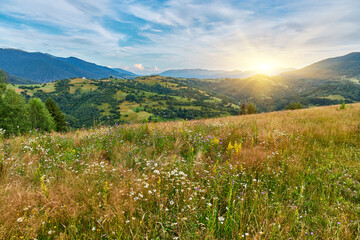 Wildflower Meadow Mountain Landscape View