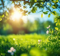 Obraz premium Springtime meadow bathed in sunlight. Lush green grass, flowering trees, and vibrant foliage under a bright sky