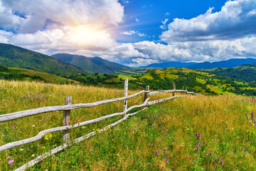 Mountain Meadow Fence Wildflower Landscape
